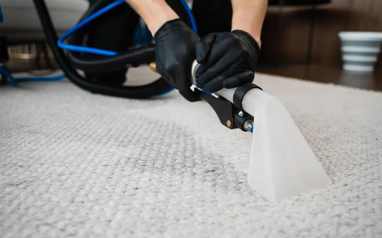 Carpet care expert working on a rug