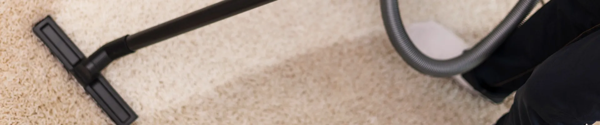 Professional carpet cleaning in progress