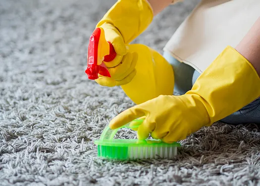Carpet Cleansing illustration